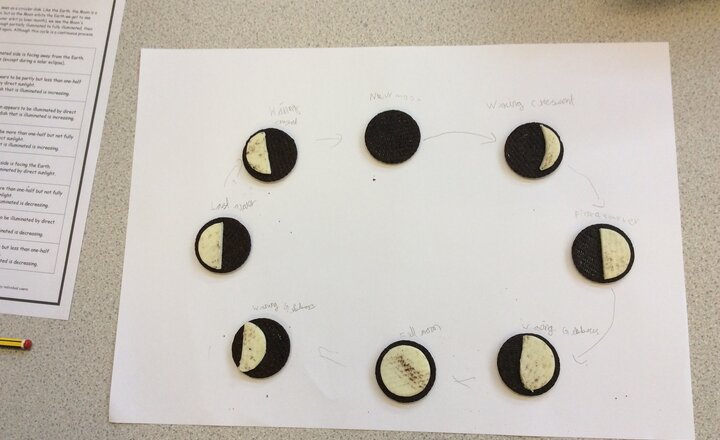 Image of Year 5 Phases of the Moon